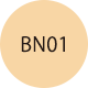 BN01